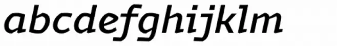 Magnetic Pro Medium Italic
