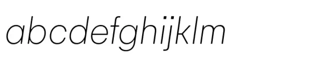 Magnetik Thin Italic