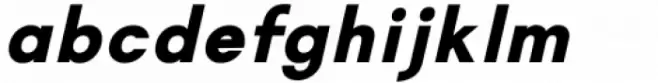 Magnify Bold Italic