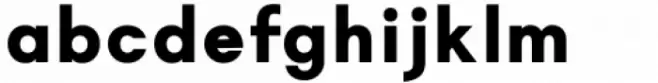 Magnify Bold