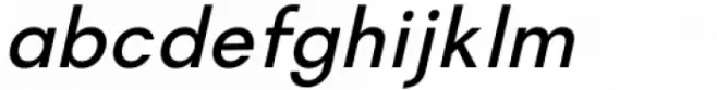 Magnify Italic