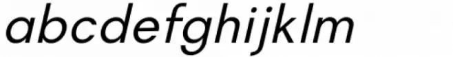 Magnify Light Italic