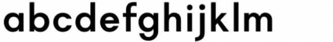Magnify Medium