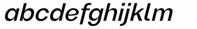 Magnify PRO Italic