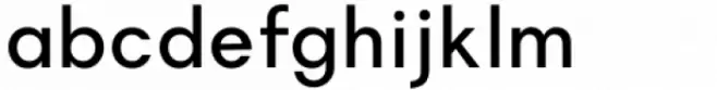Magnify Regular