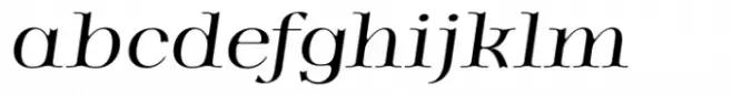 Magnirum Serif Thin italic