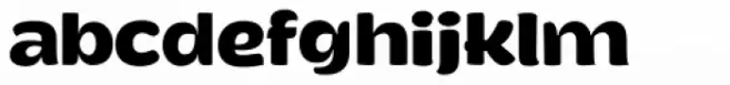 Magola Bold