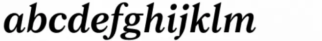 Maine Book Italic