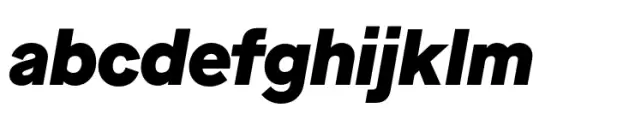 Maison Neue Black Italic