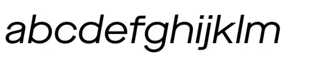 Maison Neue Extended Book Italic