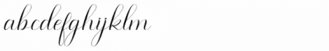 Maldini Script Regular