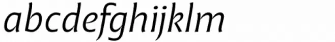 Malik Book Italic