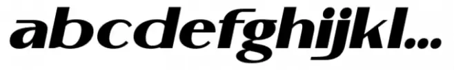Malkone Black Italic