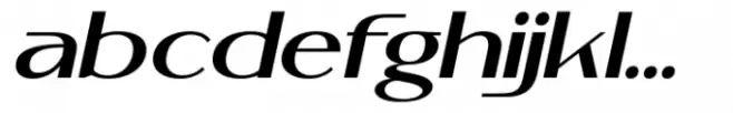 Malkone Medium Italic