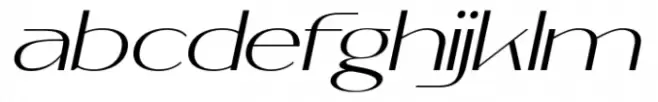 Malkone Thin Italic