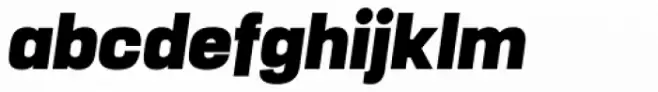 Manual Black Condensed Italic