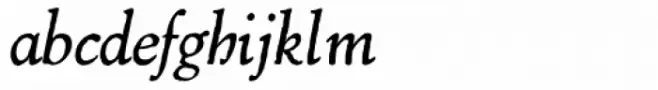 Marco Polo Italic