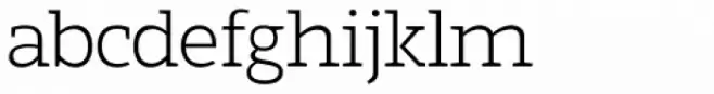 Marek Slab Thin