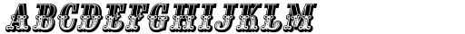 Mariachi Dos SC Italic