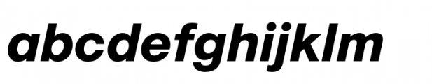Marlin Sans Extra Bold Italic