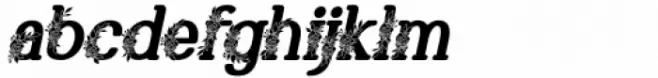 Marlyn Flo Bold Italic