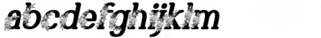 Marlyn Flo One Bold Italic