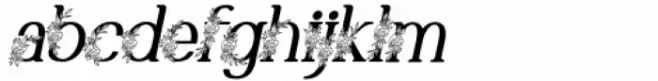 Marlyn Flo One Medium Italic
