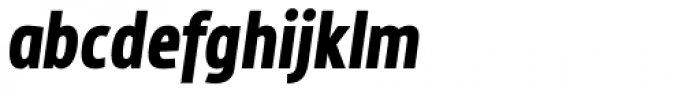 MaryTodd Black Italic