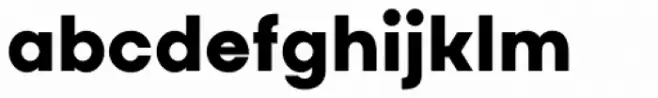 Masiva Black Italic