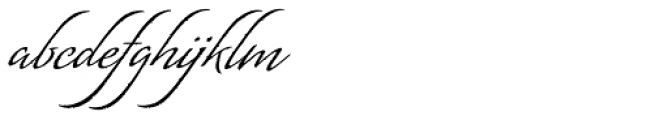 Matogrosso Script