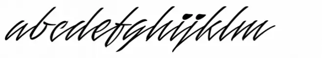 Mauritz Thin Italic