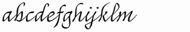 Mayence Text