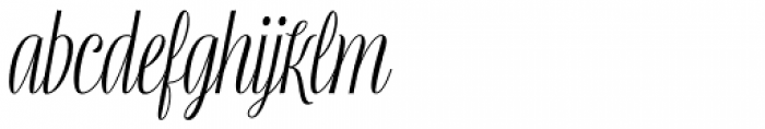 Mentha Medium