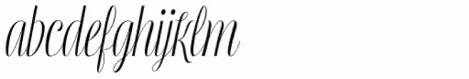 Mentha Regular