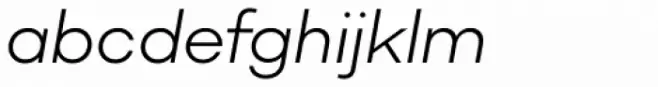Mercenary Light Italic