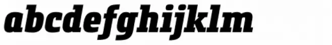 Metronic Slab Narrow Black Italic