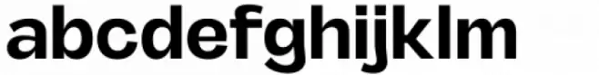 MGT Fugiat Bold