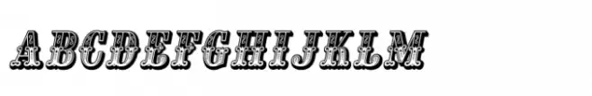 Mi Casa SC Italic