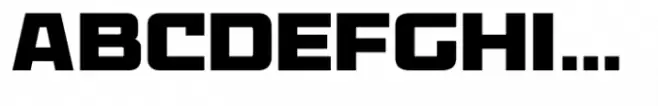 Microsport Bold
