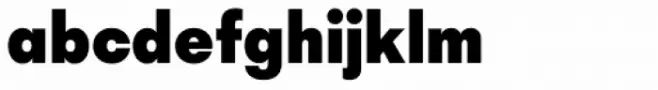 Mid Century Sans Heavy