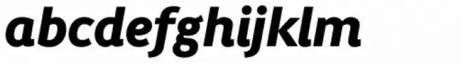 Migration Sans Std Black Italic