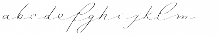 Mina Calligraphic Light