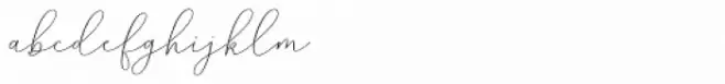 Mindline Script Bold