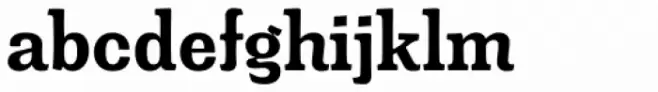 Minernil Bold