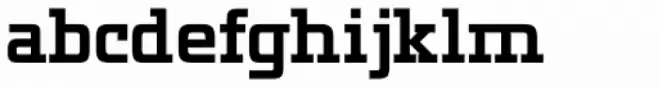 Mirfak Bold