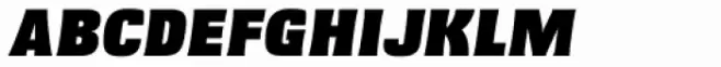 Misadventures Black Italic