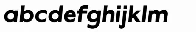 Misegar Extra Black Italic