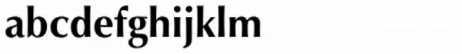 Mitra Bold