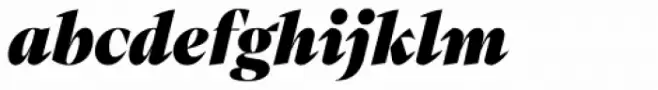 Mixta Pro Heavy Italic