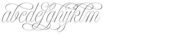 Model Standard Three